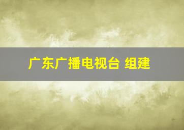 广东广播电视台 组建